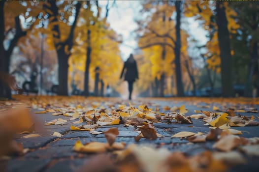 Photography: Woman walking in the autumn park. Selective focus. Nature.