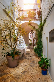 Scenic sight in Locorotondo, Bari Province, Apulia (Puglia), Italy. Characteristic streets in the Locorotondo in Puglia, Italy. Locorotondo is a town of the Metropolitan City of Bari, Apulia, Italy.