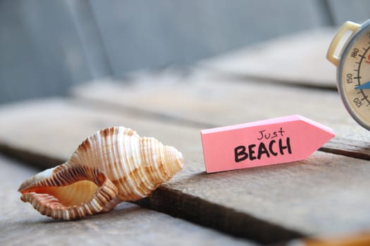 Just Beach, summer time creative concept.