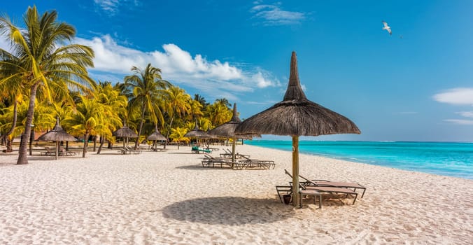 Palm trees on the tropical Le Morne beach, Mauritius. Tropical vacation background concept on Le Morne beach, Mauritius. Paradise beach on Mauritius island, palm trees, white sand, azure water.