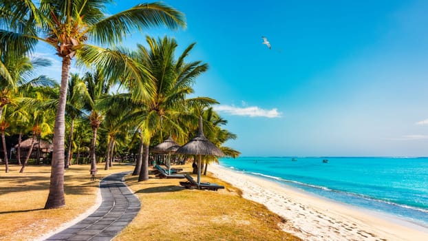 Palm trees on the tropical Le Morne beach, Mauritius. Tropical vacation background concept on Le Morne beach, Mauritius. Paradise beach on Mauritius island, palm trees, white sand, azure water.