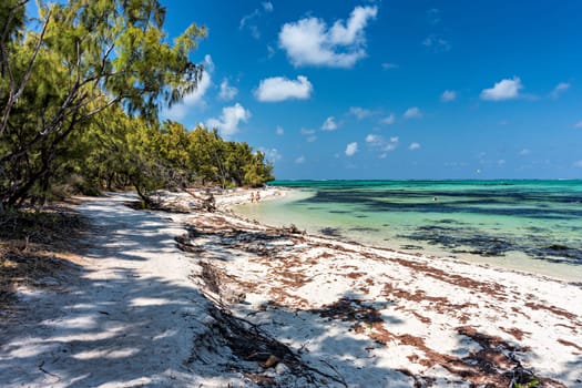 Ile aux Cerfs island with idyllic beach scene, aquamarine sea and soft sand, Ile aux Cerfs, Mauritius, Indian Ocean, Africa. Ile aux Cerf in Mauritius, beautiful water and breathtaking landscape.