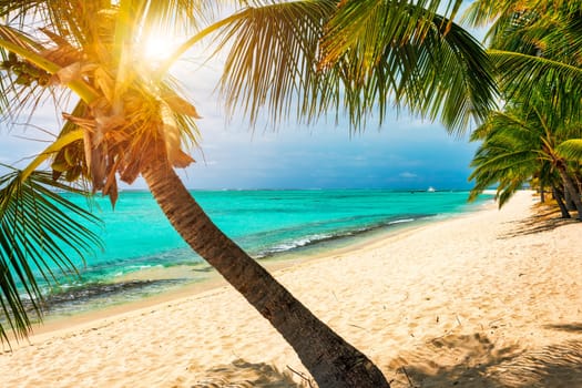 Palm trees on the tropical Le Morne beach, Mauritius. Tropical vacation background concept on Le Morne beach, Mauritius. Paradise beach on Mauritius island, palm trees, white sand, azure water.