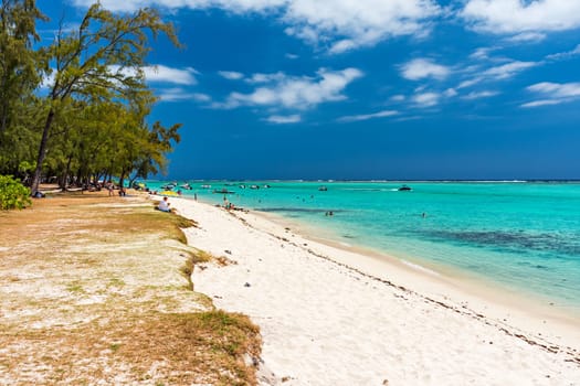 Palm trees on the tropical Le Morne beach, Mauritius. Tropical vacation background concept on Le Morne beach, Mauritius. Paradise beach on Mauritius island, palm trees, white sand, azure water.