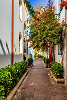 Street with blooming flowers in Puerto de Mogan, Gran Canaria, Spain. Favorite vacation place for tourists and locals on island. Puerto de Mogan with lots of bougainvillea flowers, Canary Island.