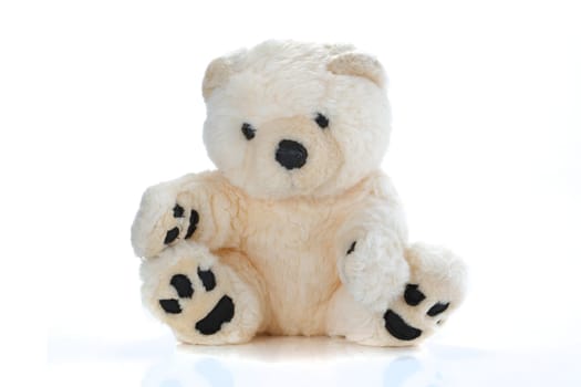 A cute tan Teddy Bear on white