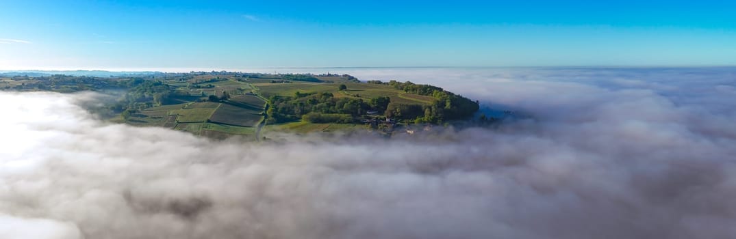 Aerial view of Bordeaux vineyard at sunrise spring under fog, Sainte-Croix-du-Mont, Gironde, France. High quality photo