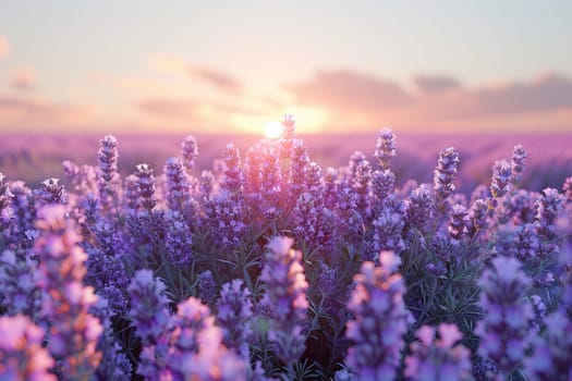 A field of lavender under a clear sky, representing calmness and natural beauty.