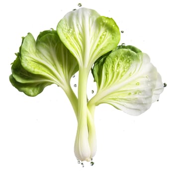 Crisp bok choy leaves fluttering white stems slicing water droplets midair Brassica rapa subsp chinensis. Food isolated on transparent background.