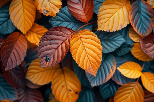 Close-up of multi-colored autumn foliage, representing change and natural beauty.