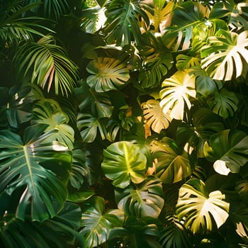 The sunlight filters through the foliage of a tropical shrub, creating a beautiful play of light and shadow on the groundcover below
