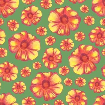 Marigold Flower Seamless Pattern. Hand Drawn Floral Digital Paper on Green Background.