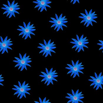 Daisy Blue Flower Seamless Pattern. Hand Drawn Floral Digital Paper on Black Background.