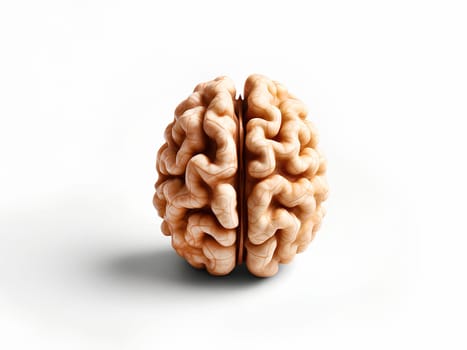 peeled walnut resembling the shape of a human brain, on a white background.