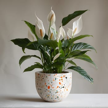 A houseplant with white flowers is displayed in a flowerpot on a table, adding a touch of nature to the rooms decor