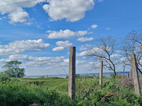 It's sunny, clouds are floating across the sky. Concrete pillars are actively overgrown with rapidly growing vegetation.