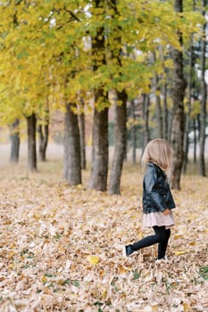 Little girl walks among fallen dry leaves in the autumn forest. Side view. High quality photo