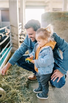 Dad feeding hay to goats in a fence while squatting next to a little girl. High quality photo