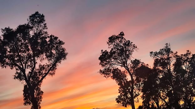 orange sunset, beautiful sky background, nature weather evening. High quality photo