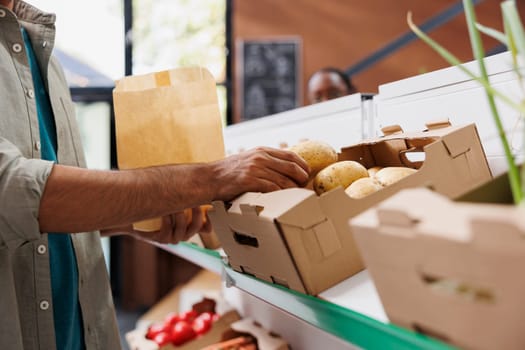 Close up of male customer choosing locally grown potatoes from shelf of eco friendly store. Detailed image of consumer selecting freshly harvested produce to cook healthy food recipe.