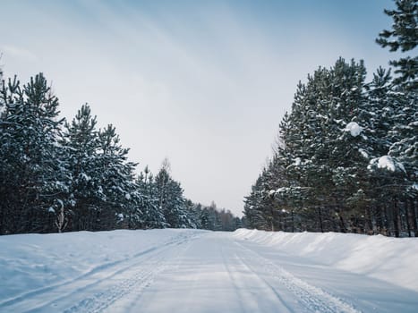 A long stretch of a deserted highway runs through a dense pine forest, blanketed in snow, under an overcast sky.