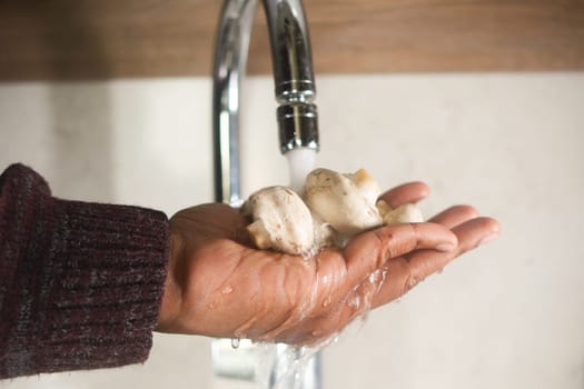 Man Washing mushroom with Tap Water.