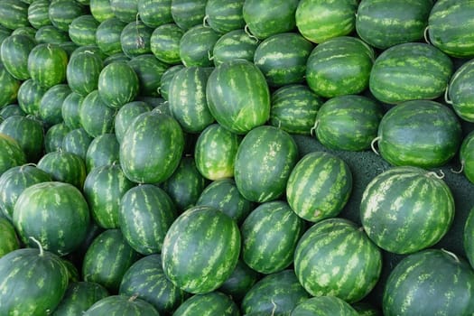 A pile of striped watermelons.