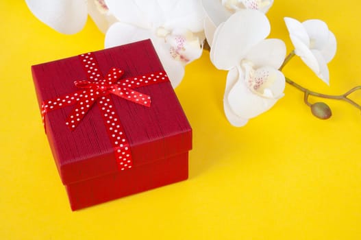 Red color present on white background with customizable space for text. Copy space and celebration