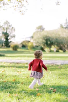 Little girl walks waving her hands on the green grass. Back view. High quality photo