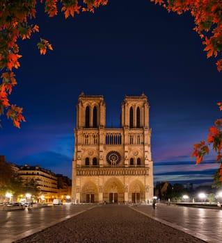 Notre Dame de Paris at night, Paris, France