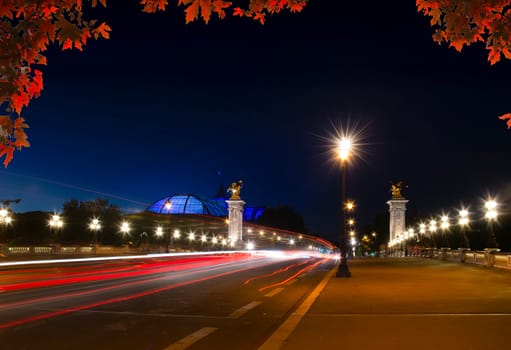 Alexandrovsky Bridge with night lighting in Paris