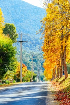 A late autumn afternoon in Jamieson in Victoria's High Country, Australia