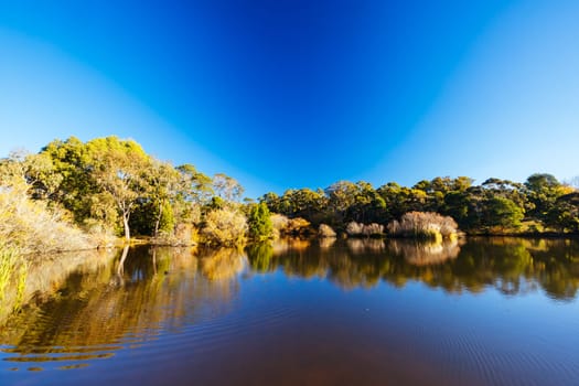 DAYLESFORD, AUSTRALIA - MAY 12 2024: Landscape around Lake Daylesford in a cool late autumn afternoon in Daylesford, Victoria, Australia