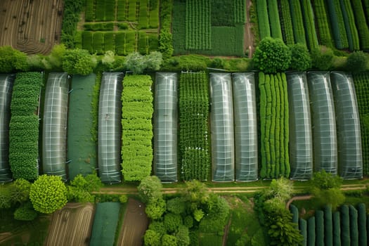 An overhead view of a farm with neatly arranged rows of various crops stretching into the distance under clear skies.