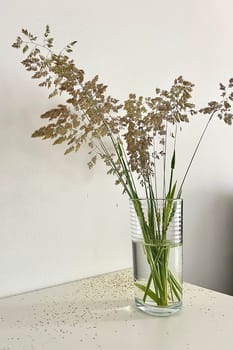 A bouquet of field grass in a glass with water on the table. High quality photo