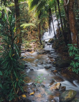 Majestic Siriphum Waterfall in Doi Inthanon National Park, Chiang Mai, Thailand.