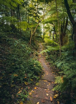 Way to Siriphum Waterfall in Doi Inthanon National Park, Chiang Mai, Thailand.