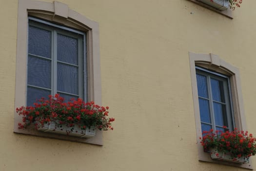 Two windows with flower boxes filled with red flowers on a yellow stucco wall.