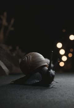 A lone snail embarks on a journey across a dark surface towards distant lights, a metaphor for determination.