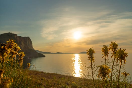 A beautiful sunset over the ocean with a rocky cliff in the background. The sun is setting and the sky is filled with clouds. The flowers are yellow and they are scattered throughout the field