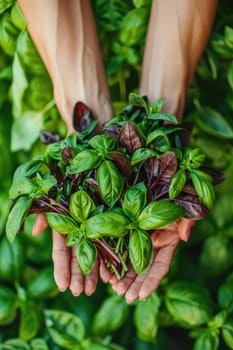 Harvest in the hands of a woman in the garden. Selective focus. nature.