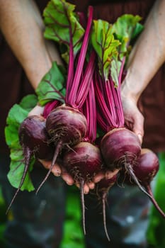 Harvest in the hands of a woman in the garden. Selective focus. nature.