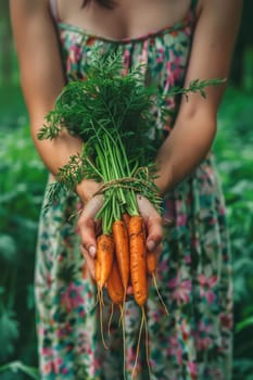 Harvest in the hands of a woman in the garden. Selective focus. nature.