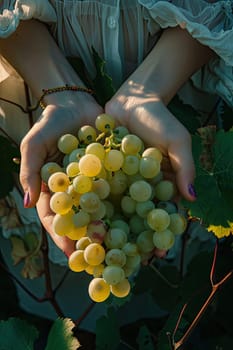 Harvest in the hands of a woman in the garden. Selective focus. nature.