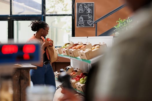 Female client of african american ethnicity exploring eco friendly store and choosing different products. Black woman searching in grocery shop for freshly harvested produce for healthy lifestyle.