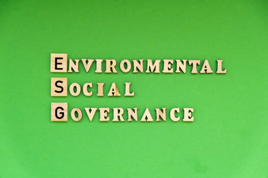 ESG inscription ENVIRONMENTAL SOCIAL GOVERNANCE investment business concept. Text on wooden block on green background. Society and corporate governance