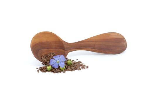 Vibrant blue flax flower is sitting on wooden spoon filled with small brown linseed near flax fruit round capsules isolated on white background
