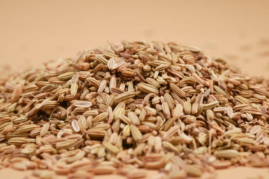 jeera cumin seeds close up