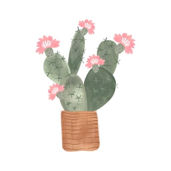 Cactus in a wicker basket. Plants for the home. Floriculture. Interior decoration. Isolated watercolor illustration on white background. Clipart