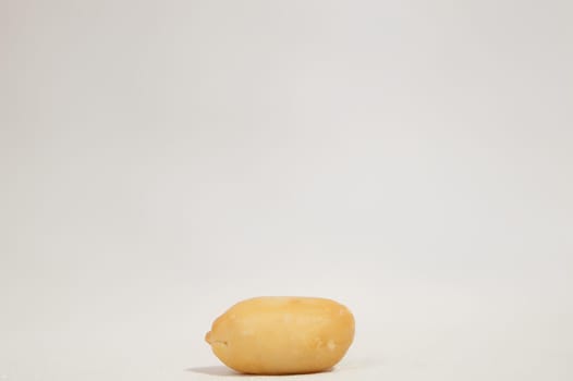 A Single Peanut in the Shell. High quality photo